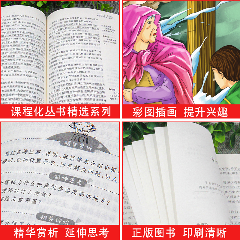 快乐读书吧 六下 全4册 [正版]爱的教育小英雄雨来童年高尔基曹文轩六年级课外书上册下册鲁滨逊漂流记尼尔斯骑鹅旅行记汤姆