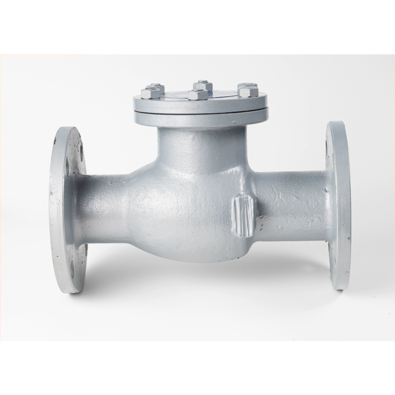 兴酉 铸钢法兰止回阀 DN200 个高清大图