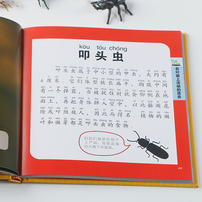 昆虫博士小百科 益智版(带玩具) [正版]赠玩具小小知识通 益智版 昆虫博士小百科 精装注音版 3-6岁儿童百科全书幼儿高清大图