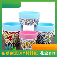 【预售】明鼎教育-花草创意DIY材料包（花盆DIY）