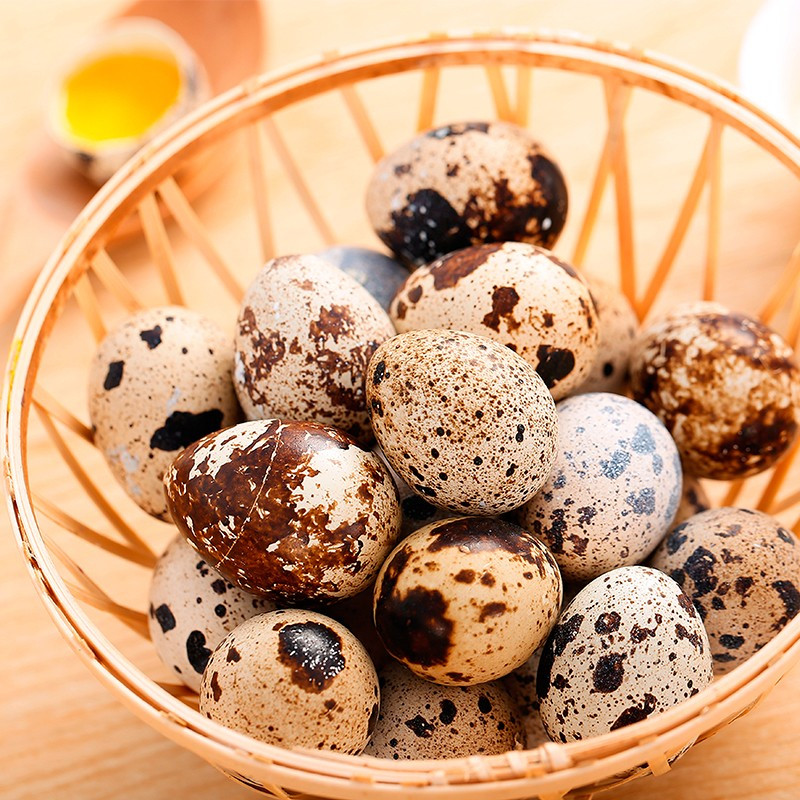 新鲜散养生鹌鹑蛋50枚破损包赔鹑鸟蛋生鲜蛋非鸡蛋鸭蛋鹅蛋变蛋