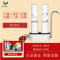 道尔顿(Doulton) 英国道尔顿净水器DCP203台上式家用厨房直饮自来水过滤机