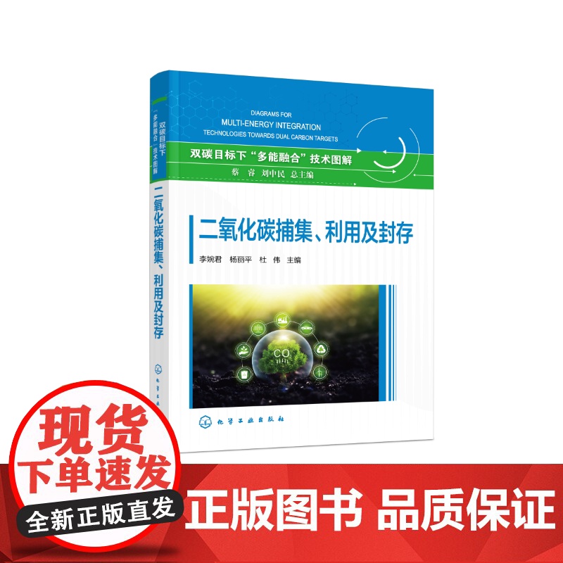 二氧化碳捕集 利用及封存 国内外CCUS领域相关政策 项目与技术现状 CCUS各环节典型技术清单及发展路径 CCUS技术高清大图