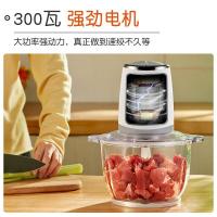 志高绞肉机家用大容量电动绞馅机搅拌机饺子馅机碎肉机多功能绞菜机剁辣椒蒜蓉蒜泥神器料理机辅食机_867
