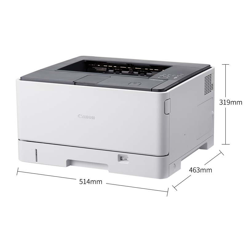 佳能(Canon) 打印机 LBP8100N+DU-D1双面打印套装 A3黑白激光打印机双面网络