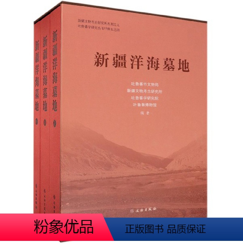 【正版】新疆洋海墓地 套装上中下3册 吐鲁番市文物局等编 新疆文物考古研究所丛刊之九吐鲁番学研究丛书 文物出版社