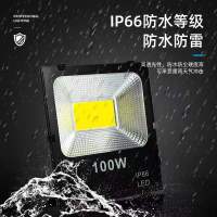 户外投光灯100W(自带25cm线)led投光灯射灯