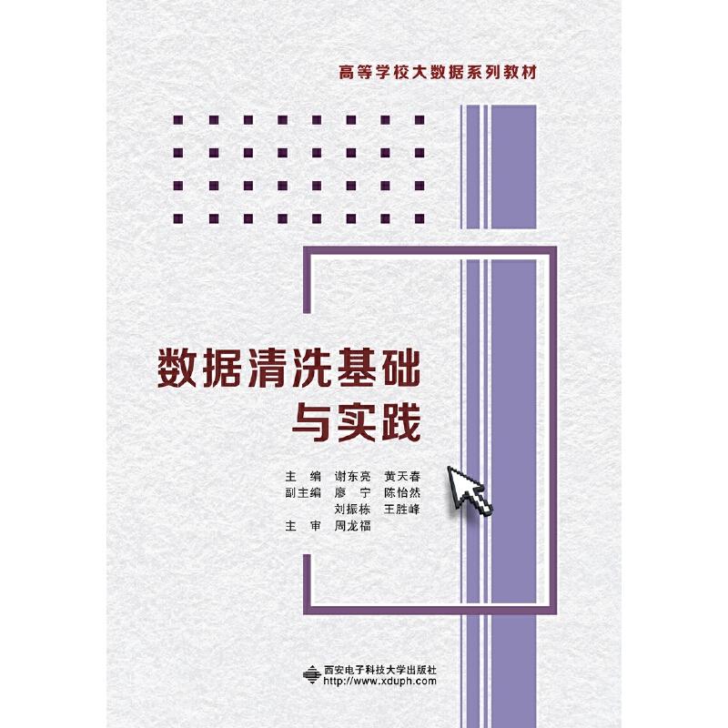 正版新书】数据清洗基础与实践谢东亮,黄天春主编9787560654607