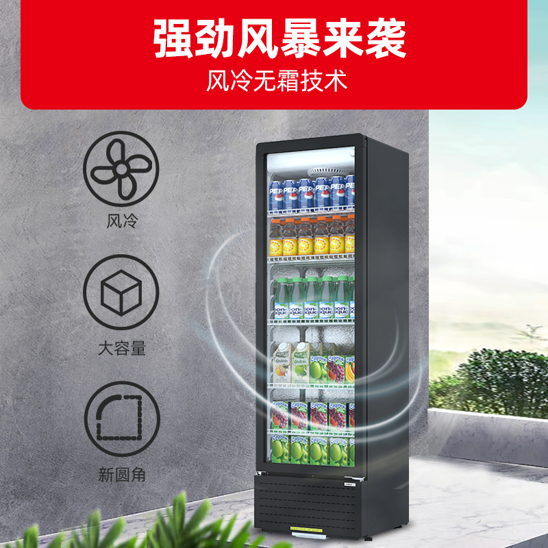 星星(XINGX)217升风冷无霜立式展示柜冰柜 饮料冷藏柜商用保鲜柜陈列柜冷柜 LSC-230WYPE高清大图