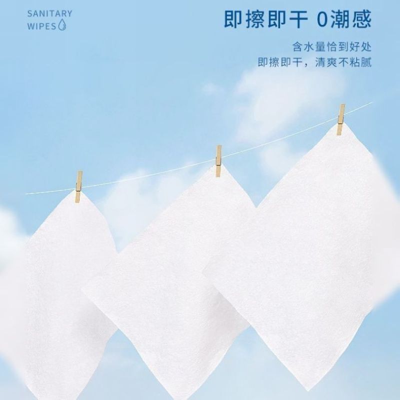海氏海诺 2包 30抽家用卫生巾如厕清洁卫生湿纸巾湿厕纸巾水冲可降解湿厕纸湿巾高清大图