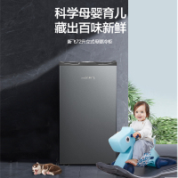 新飞(Frestec)108升立式家用商用单温式冷冻柜 一级能效 家庭囤货好帮手 BD-108LKAT
