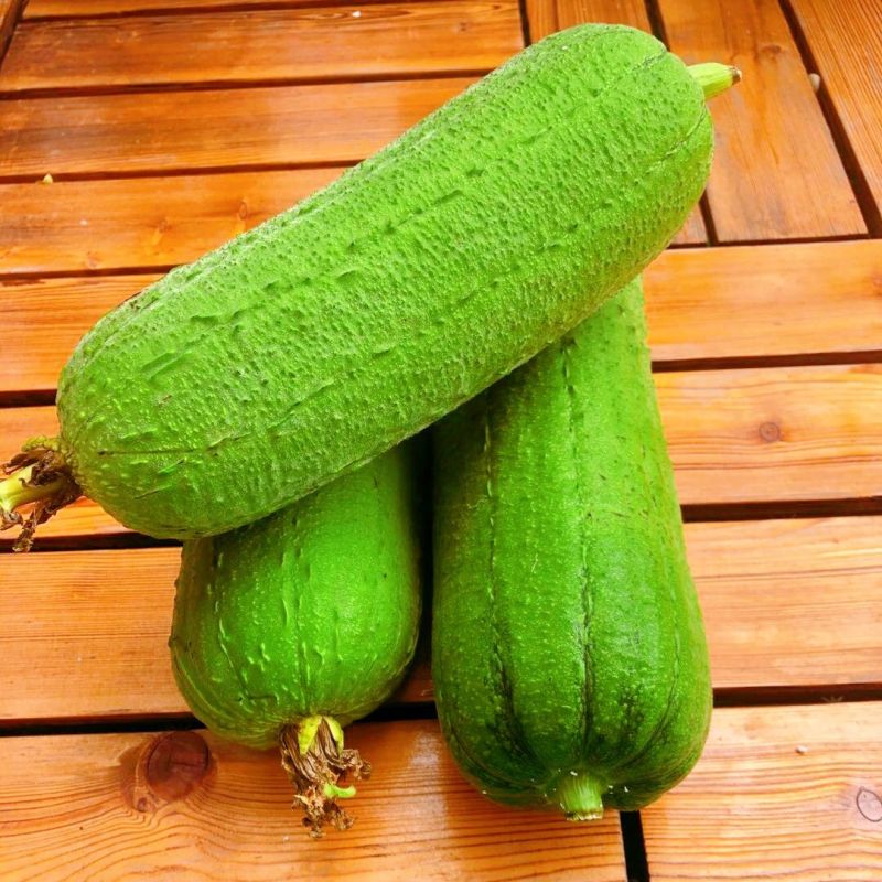 肉丝瓜 新鲜蔬菜台湾短棒肉丝瓜农家无公害有机孕妇下