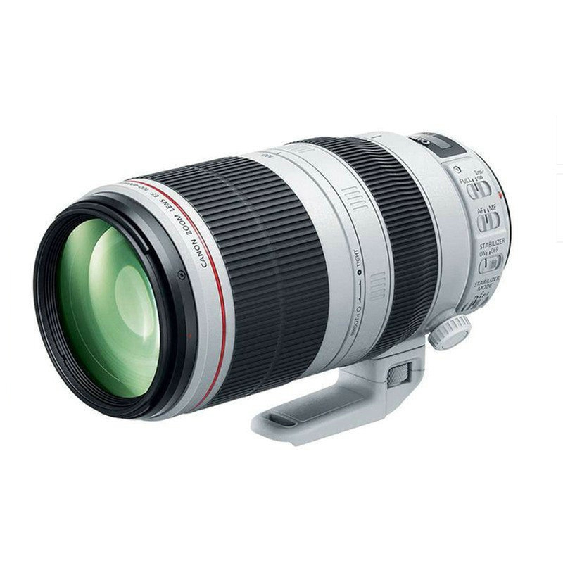 佳能(Canon) EF 100-400mm f/4.5-5.6L IS II USM 佳能卡口77mm口径远摄变焦镜头