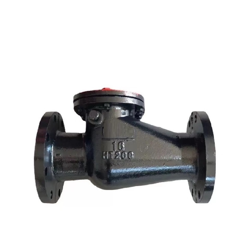 伟鹏双兴 铸铁法兰旋启式止回阀 DN250 台高清大图