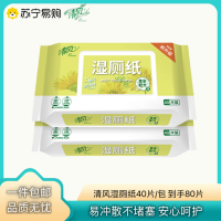 清风湿厕纸家庭装40片2包女性厕纸湿巾私处洁厕纸男湿巾纸擦屁股