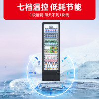 星星(XINGX)LSC-280YPE 280升 冷藏展示柜 立式酒水饮料柜 保鲜柜 啤酒柜 商用冷藏展示柜