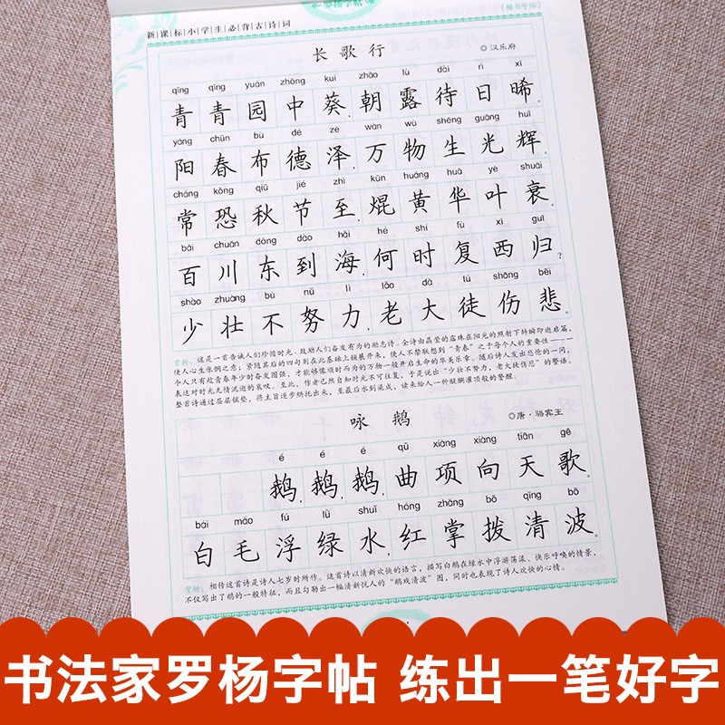 [正版]中小学生练字帖大全 必背古诗词 语文楷书练字本笔画笔顺同步练习册钢笔儿童描红硬笔书法写字帖一笔好字高清大图