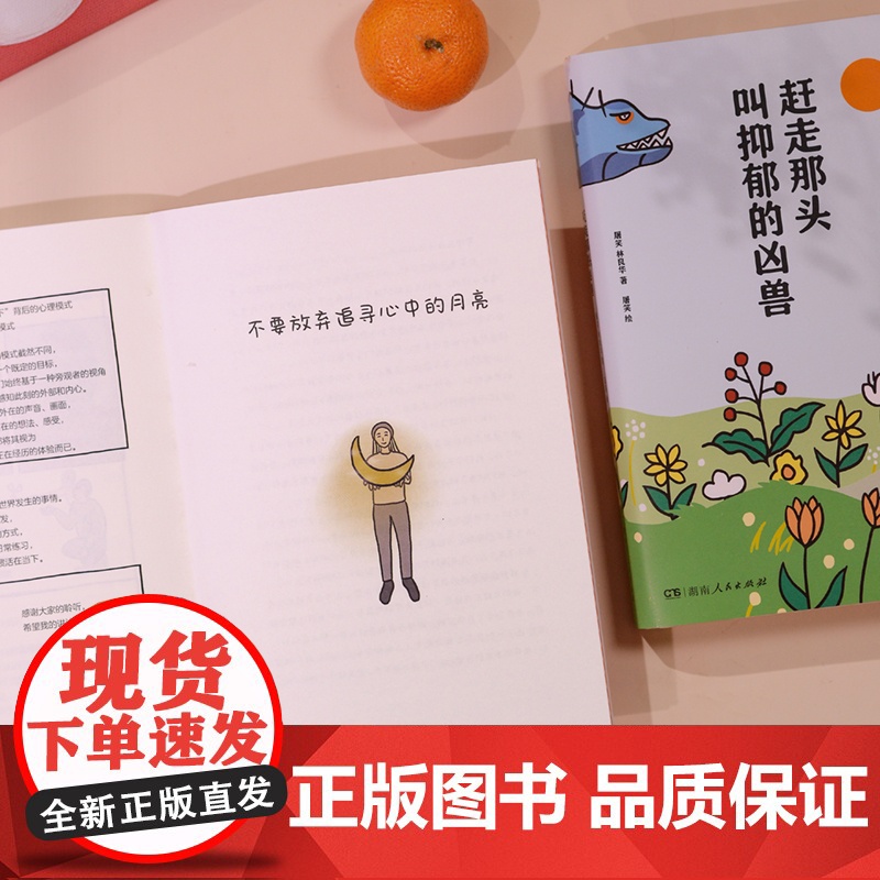 [正版]赶走那头叫抑郁的凶兽 屠笑林良华著(作者将人的内心比作河流,思维比作小船,抑郁比作凶兽,心理疗愈漫画指南)高清大图