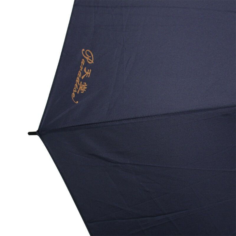 天堂 加大加固碰击布直杆晴雨伞商务伞193E 藏青