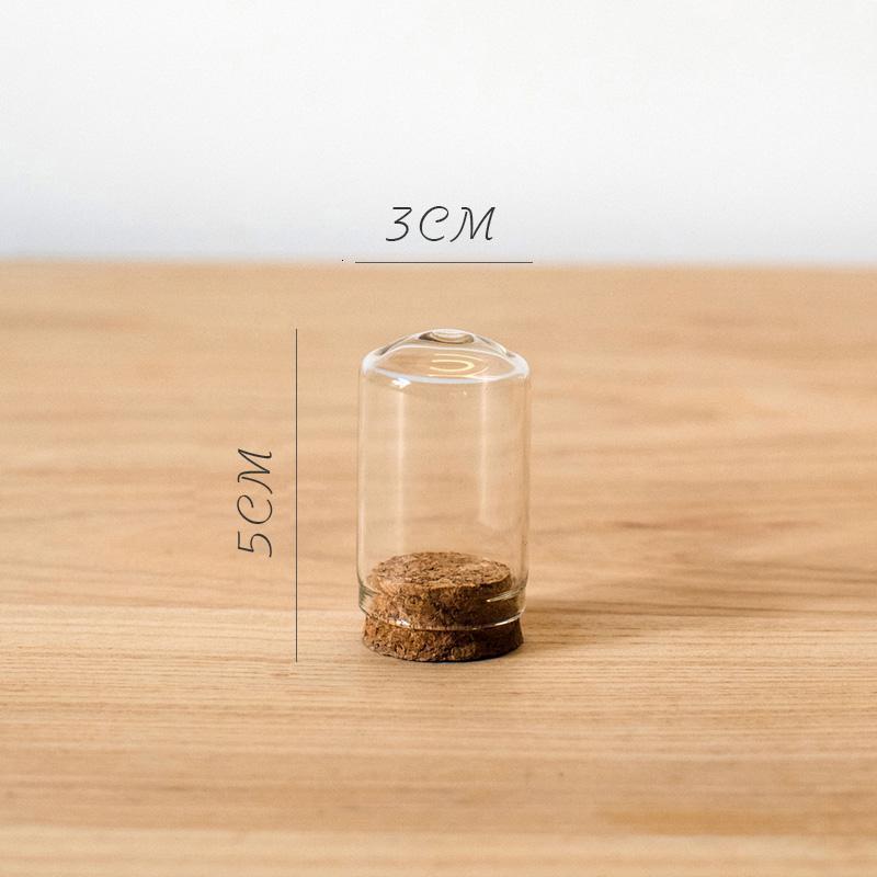 家柏饰(CORATED)软木塞玻璃罩 装饰摆件微景观干花标本公仔玩偶瓶DIY A(3cmX5cm)高清大图
