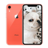 【国行原封】Apple 苹果 iPhone XR (A2108) 64GB 珊瑚色 移动联通电信4G手机 双卡双待 全网通4G手机/苹果XR/苹果xr