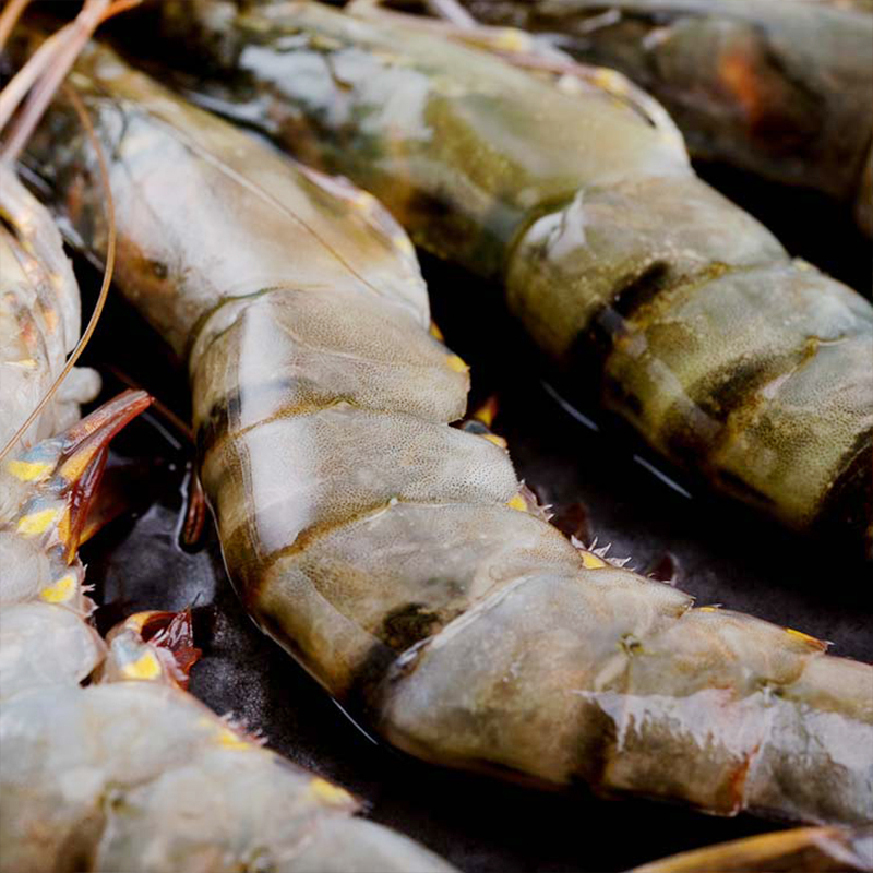 [四海生鲜] 海捕优质黑虎虾黑节虾(10-14条)斑节虾 新鲜海鲜水产 250g