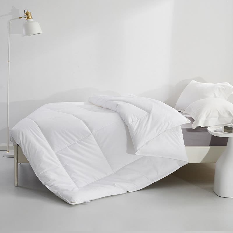 浩博时代 羽丝绒被芯 HNSD653 条图片