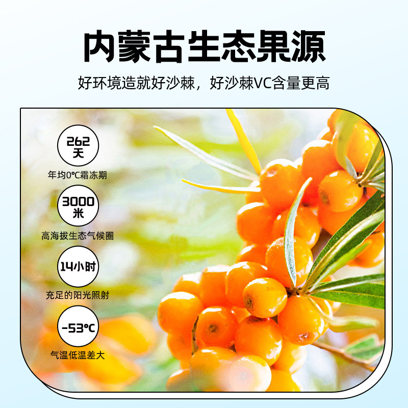 杞里香 沙棘汁 300ml 沙棘原浆 内蒙古沙棘果汁新鲜