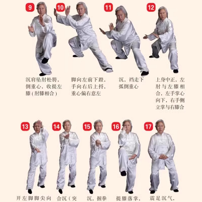 [正版]视频教学陈氏太极拳 书籍 体育运动健身入门拳法书籍 太极拳教程书籍 陈氏太极拳老架一路二路图说教程实用拳法太极高清大图