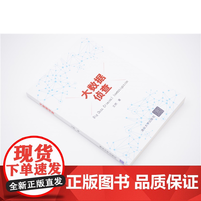 清华正版 大数据侦查 王燃 清华大学出版社