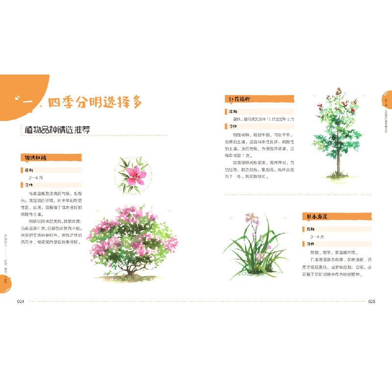 正版新书]花园时光:阳台、露台、小庭院凤凰空间·华南编辑部 编高清大图