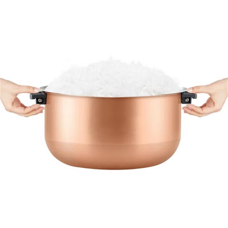 爱仕达(ASD)-F 智享系列电饭煲 家用智能预约电饭煲 4L 棕色 AR-F40E506高清大图