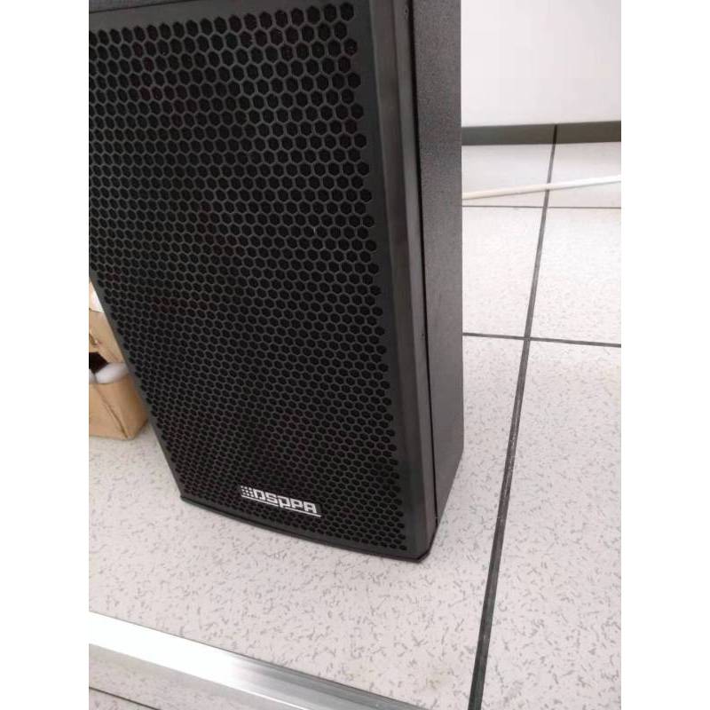 迪士普(DSPPA)D6564 二分频全频音箱