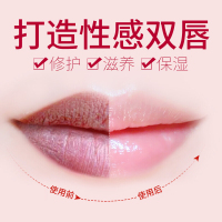 睡眠护唇膜淡化唇纹唇色去角质祛死皮唇膜贴防干裂补水保湿润唇膏