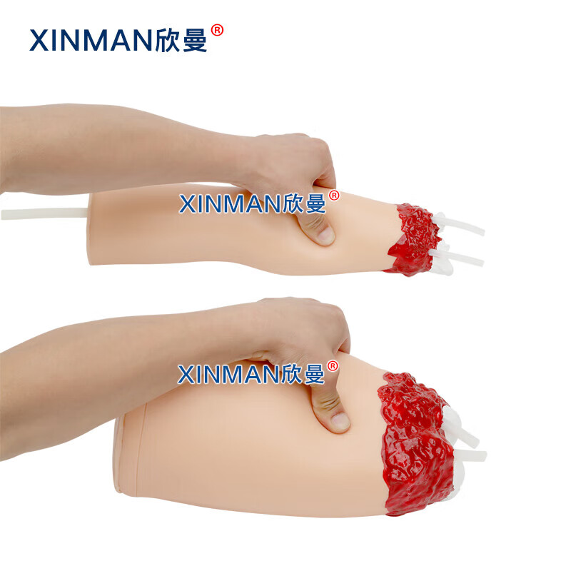 欣曼科教 控制出血手臂与大腿模型 上下肢外伤断肢包扎止血模型 配备血液循环模拟器XM-H708B高清大图