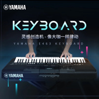 雅马哈 (YAMAHA) 电子琴PSR-E463 /EW410力度键盘61键电钢琴舞台乐队演奏DJ成人儿童入门其他