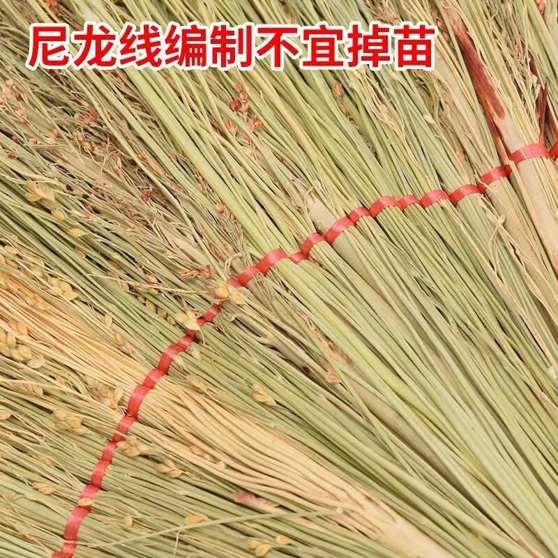 具岩 扫把高粱金丝苗扫地高粱笤帚(计价单位:把)高清大图
