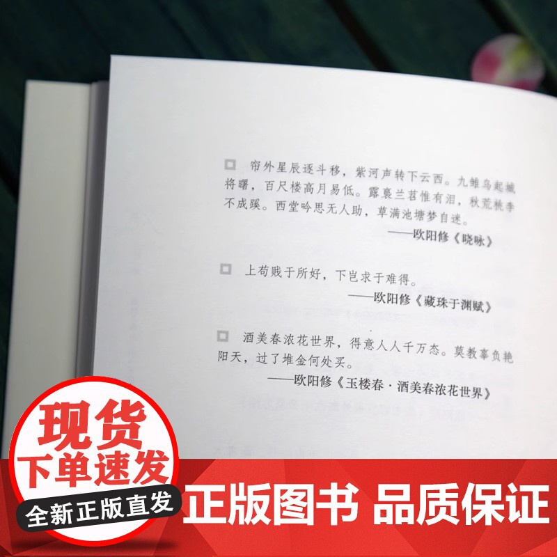 [印签私章版]人活起伏 欧阳修 百家讲坛主讲人千万粉丝知识博主何楚涵新作 你不知道的北宋文坛一哥欧阳修 文学人物传记高清大图