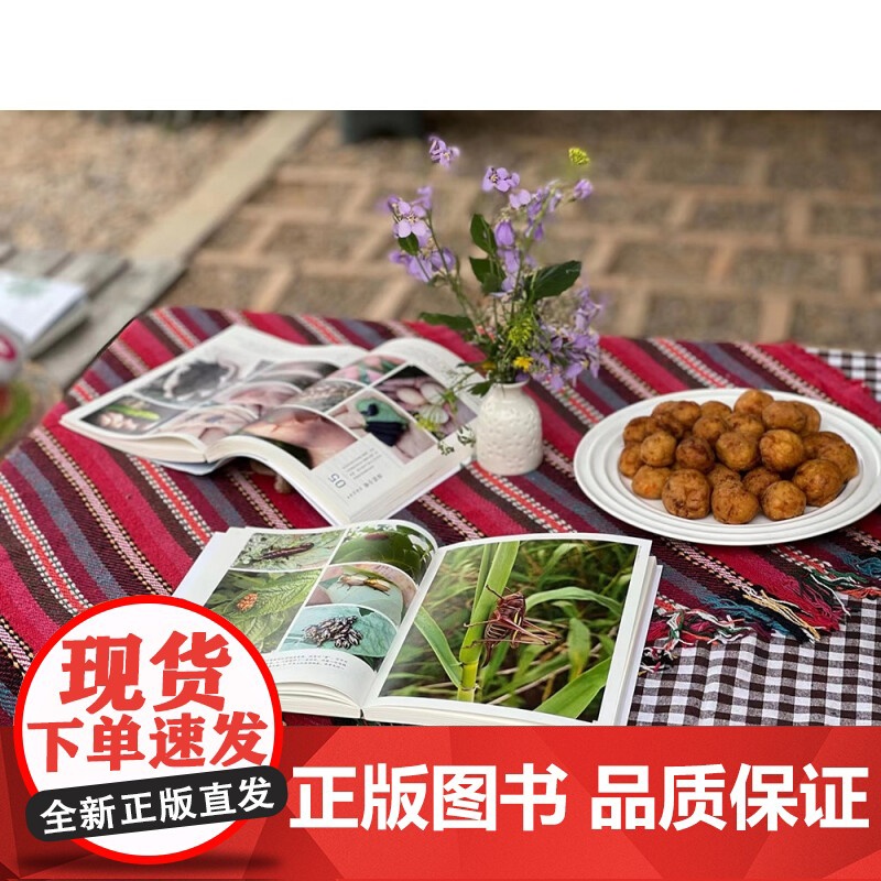 土里不土气 知识农夫的里山生活 蚊滋滋 著 旅游地图高清大图