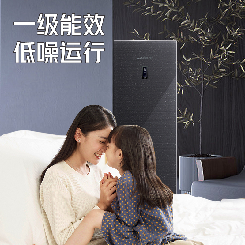 新飞(Frestec)168升单温风冷立式冷柜 家用租房 一级能效 节能省电 BD-168WLGA