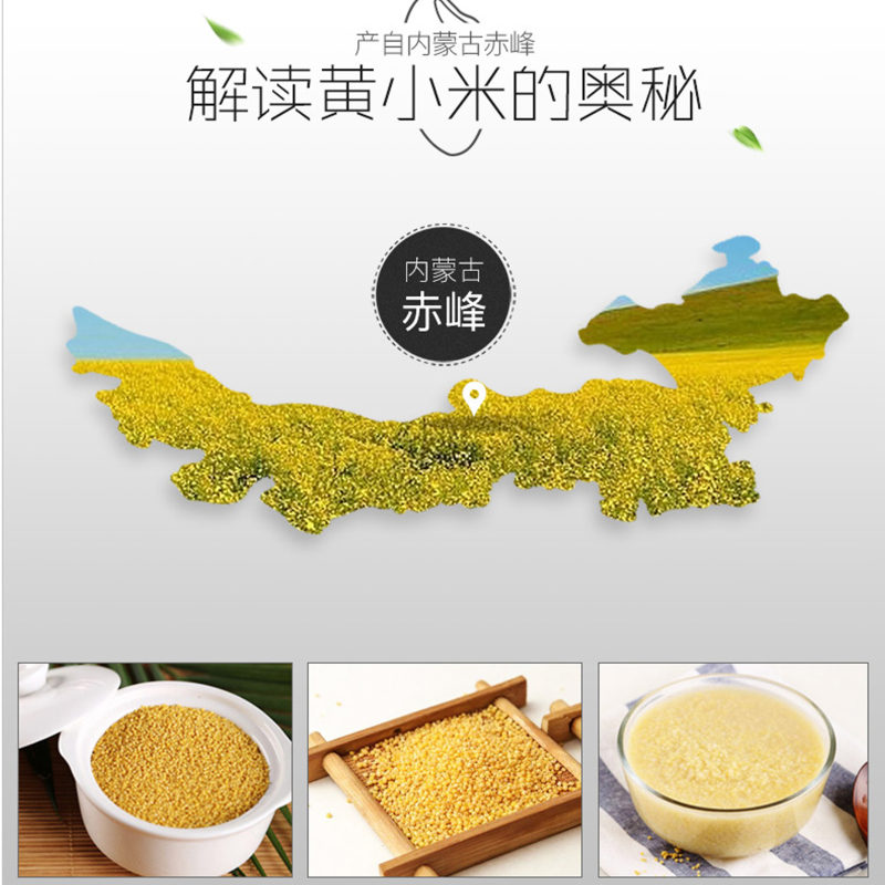 燕之坊有机小米420g