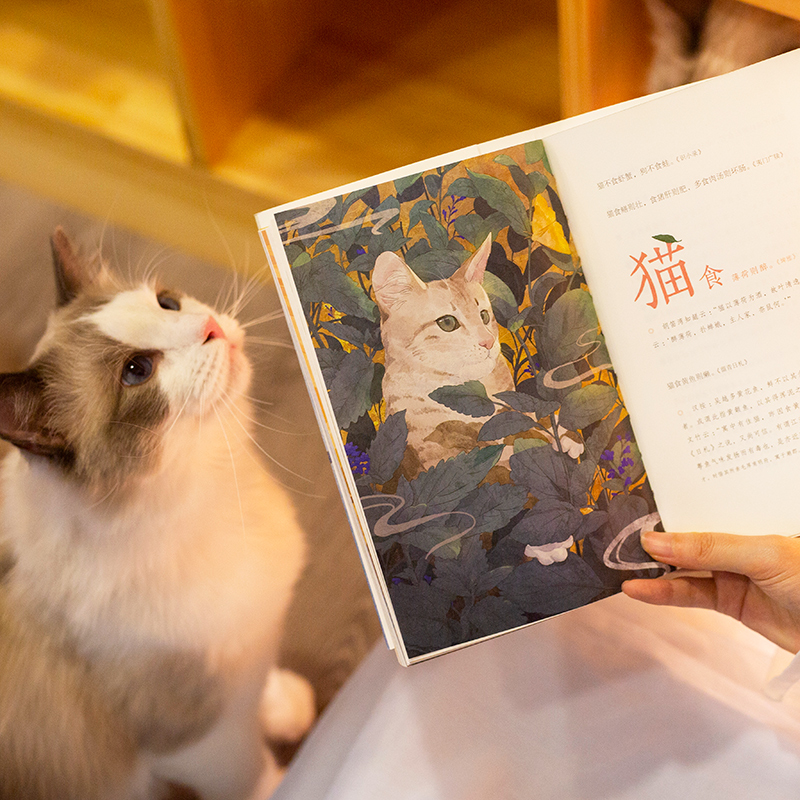 [正版] +贴纸+猫儿契+书签猫苑猫乘上下2册套装吸猫必 备 所有铲屎官的必读经典 带您看透猫的808个小秘密高清大图