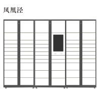 凤凰泾智能快递柜小区快递自提柜派件柜室外寄存柜信报箱储物柜一主两副61格