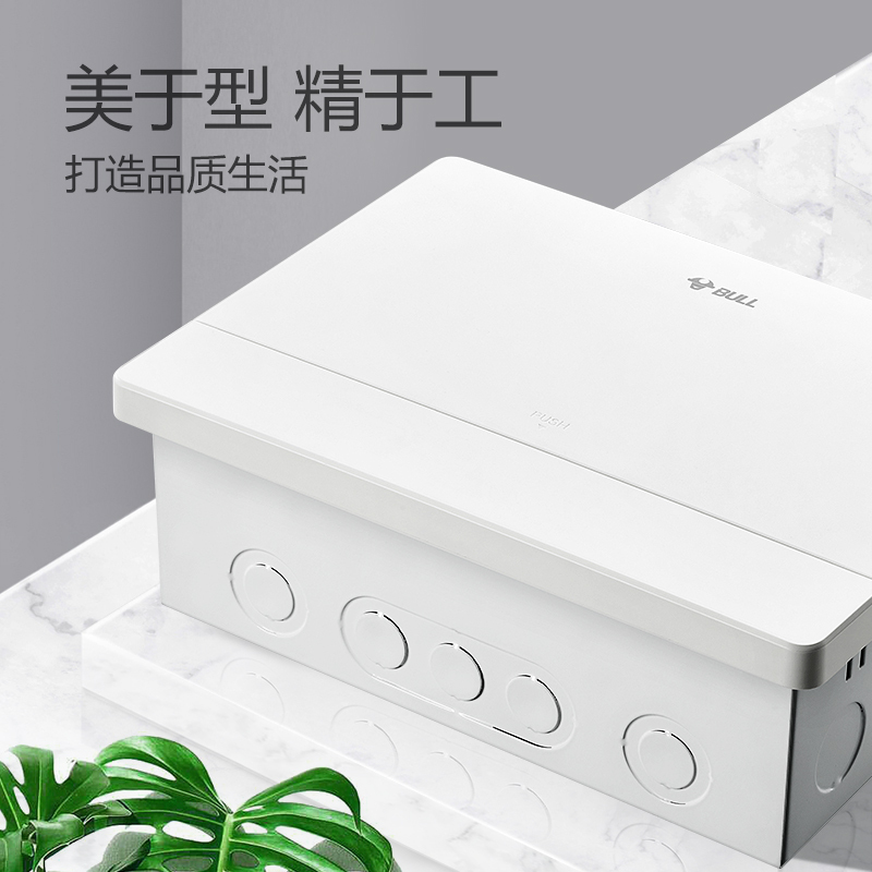 公牛(BULL)配电箱 4回路空开强电箱 家用终端配线箱白色盖板LX5-4s