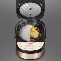 九阳(Joyoung)电饭煲 F-50FZ10 大容量5升 铜匠厚釜 预约功能 底盘加热 家用多功能电定时饭锅