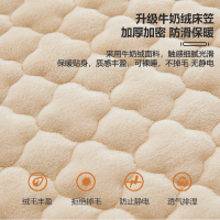 A类牛奶绒夹棉床笠单件加厚珊瑚绒床垫保护套三件套加绒防尘床罩