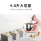Petrus/柏翠 PE4800厨师机家用商用和面机多功能小型全自动揉面机