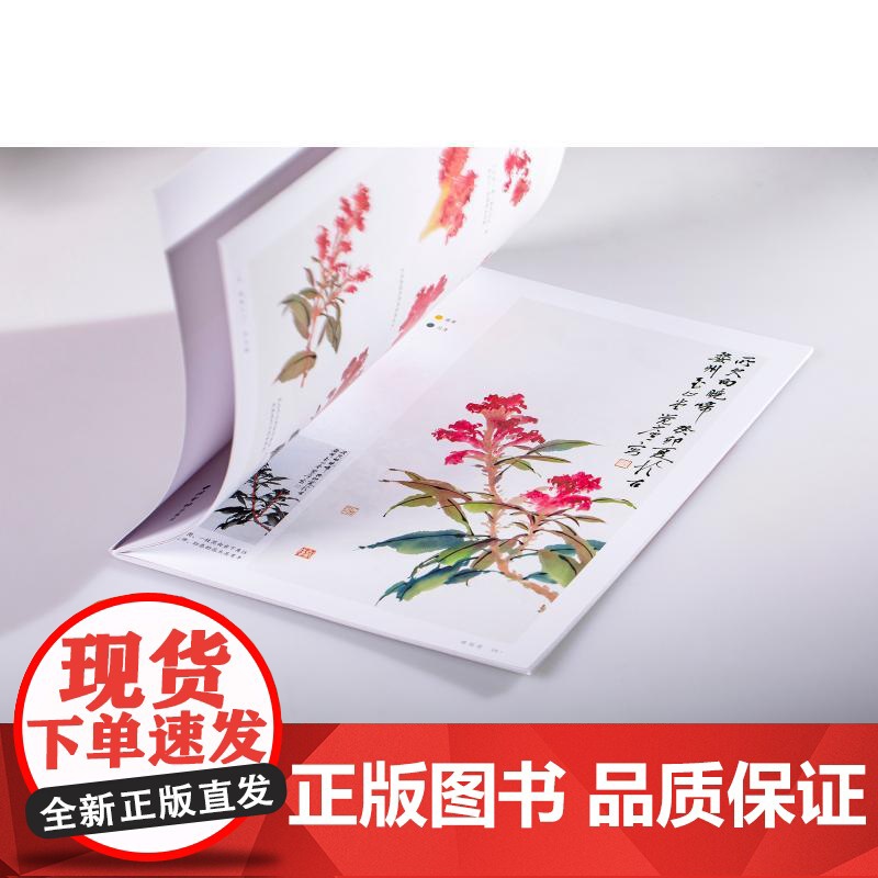 国画入门:花卉篇 陈肖华 著 著 陈肖华 著 译 美术技法 艺术 西泠印社出版社高清大图