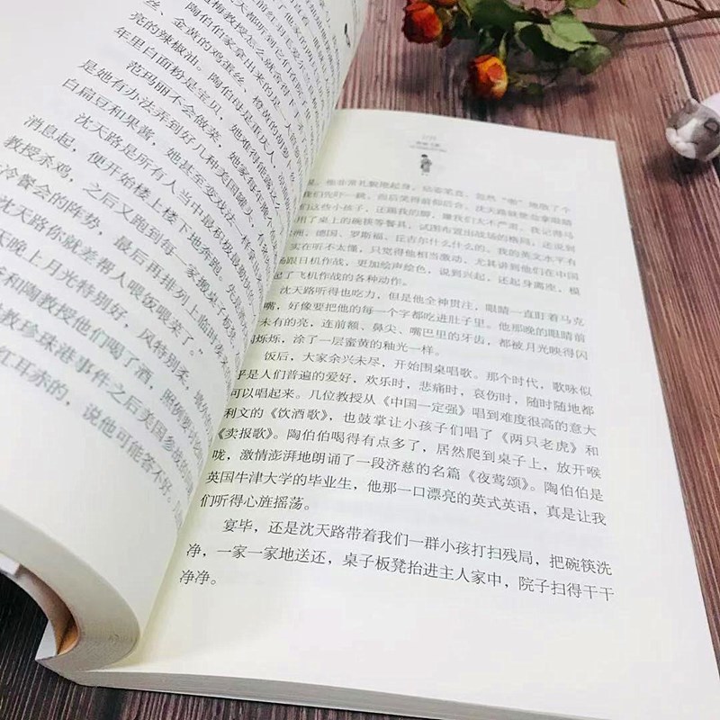 预售野蜂飞舞黄蓓佳著少儿文轩网