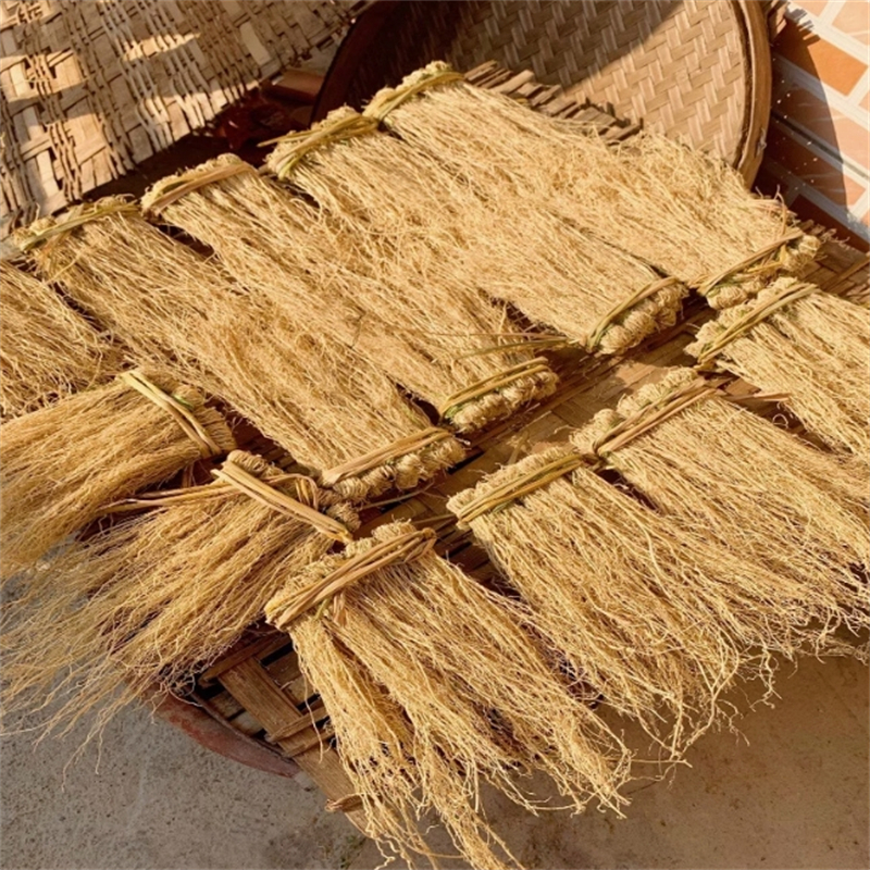 养肝草100克袋装 广东特产丝线根煲汤护肝草养肝金草高清大图